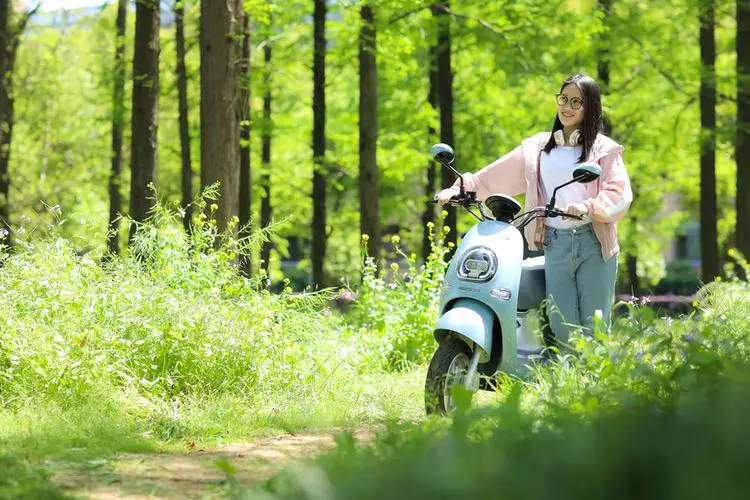 為什么大部分電動車都用鉛酸電池而不是鋰電池？原因是什么？